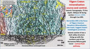 Yilgarn plan section tomography mines