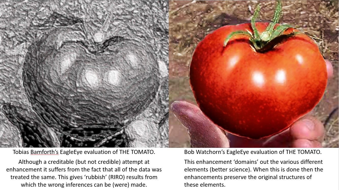 Figure 5. Tobias Bamforth's versus Bob Watchorn's EagleEye enhancement of Tobias's tomato.