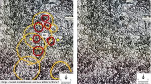 Figure 7. EagleEye Ring buried stocks bosses up local antiform dome